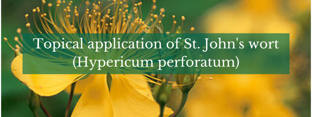 Topical Application Of St. John's Wort (Hypericum Perforatum)