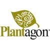 Plantagon