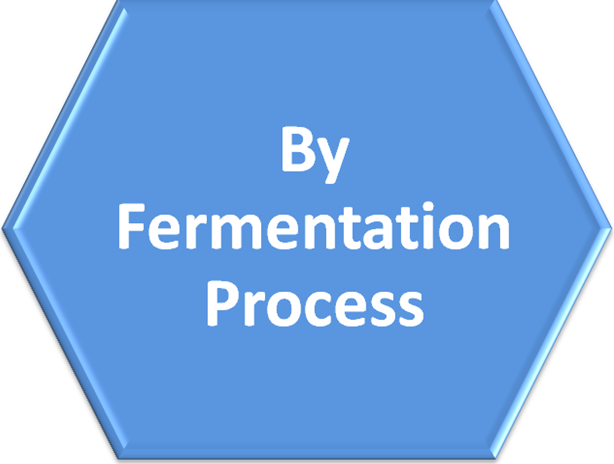 By%20Fermentation%20Process.png
