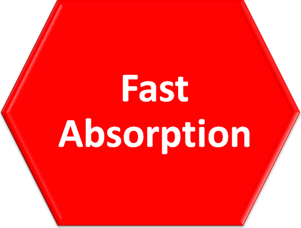 Fast%20Absorption.png